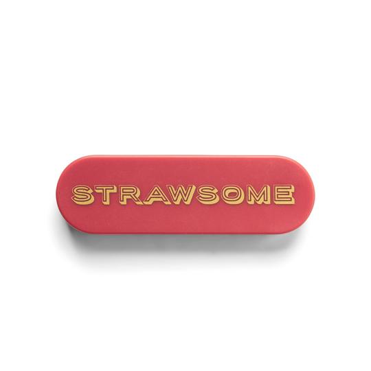 Bombilla Portátil Reutilizable Terracotta Strawsome