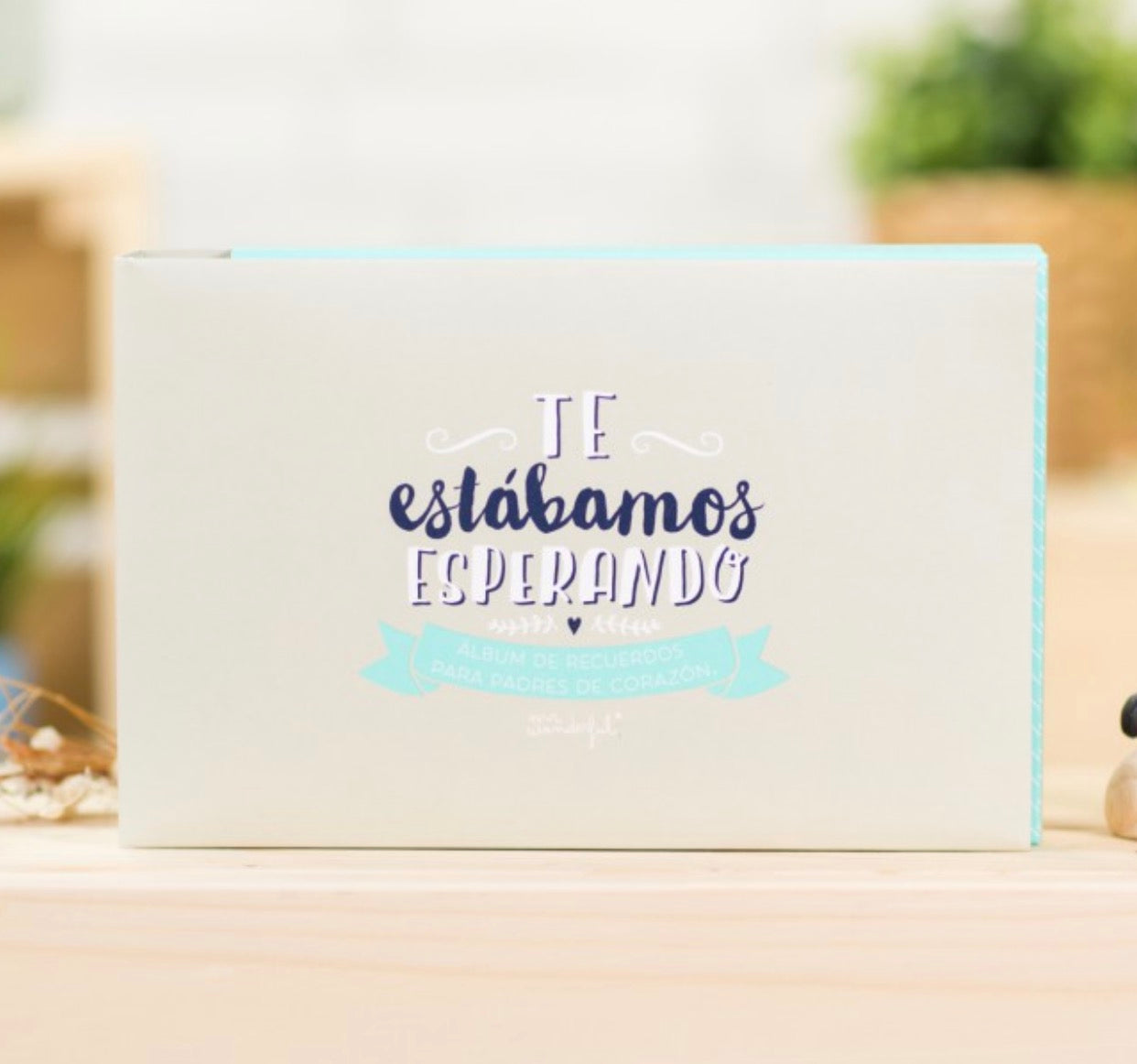 Álbum para padres de corazón Te estábamos esperando